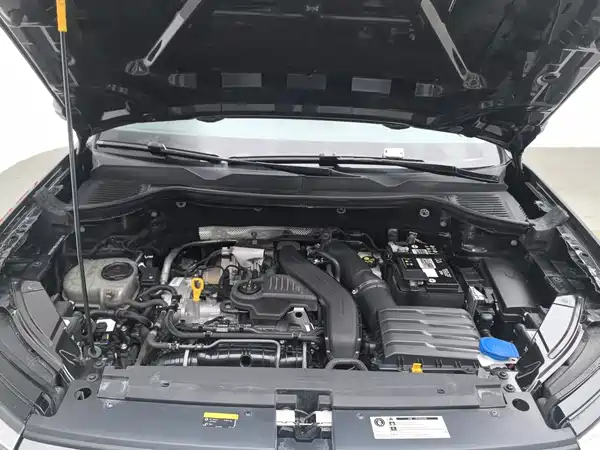 Volkswagen Tharu 2024