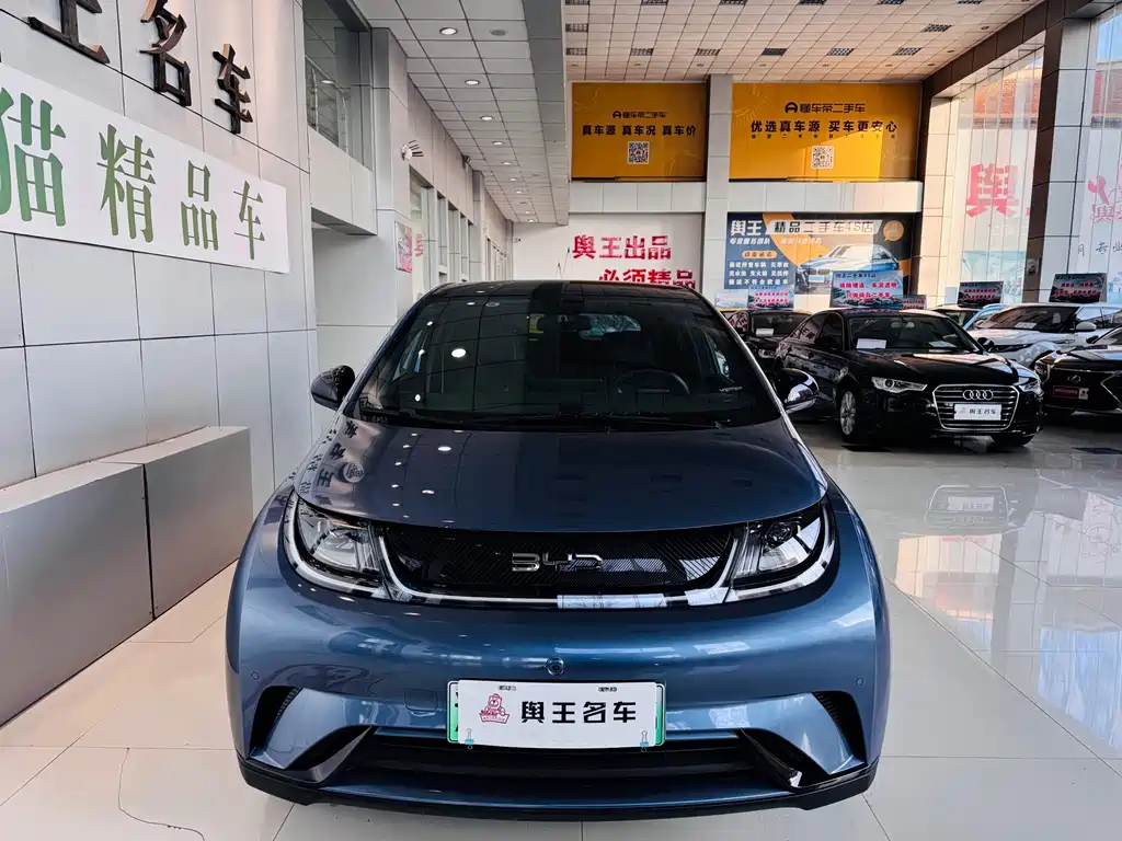 BYD Dolphin 2024