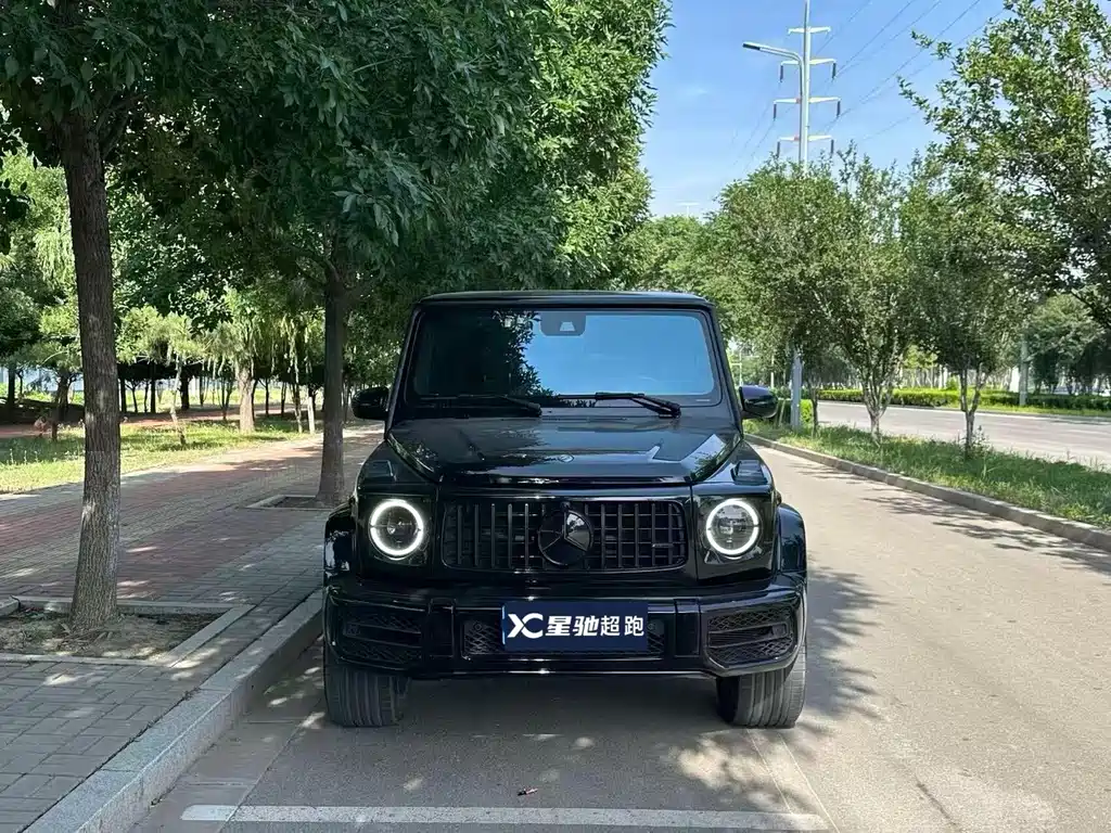 Mercedes-Benz G-Class 2019 — фото 1