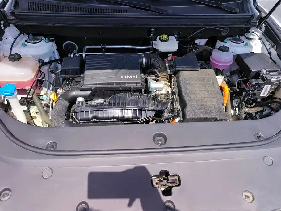 BYD Pro New Energy 2025 — фото 10
