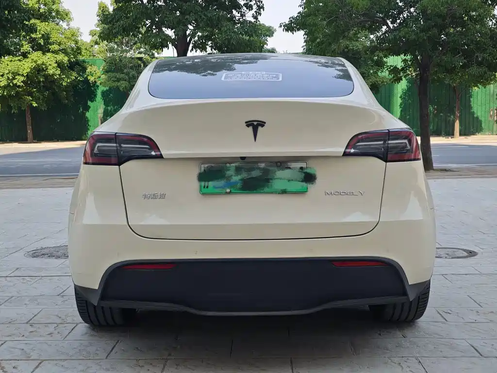 Tesla Model Y 2021 — фото 8