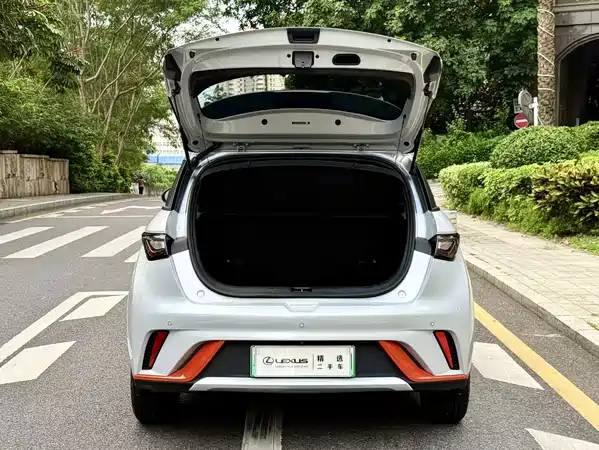 BYD Dolphin 2022
