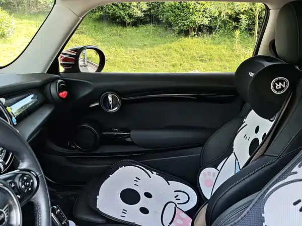 MINI MINI 2020