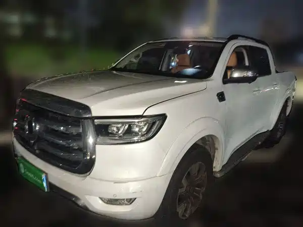 Great Wall Poer 2021