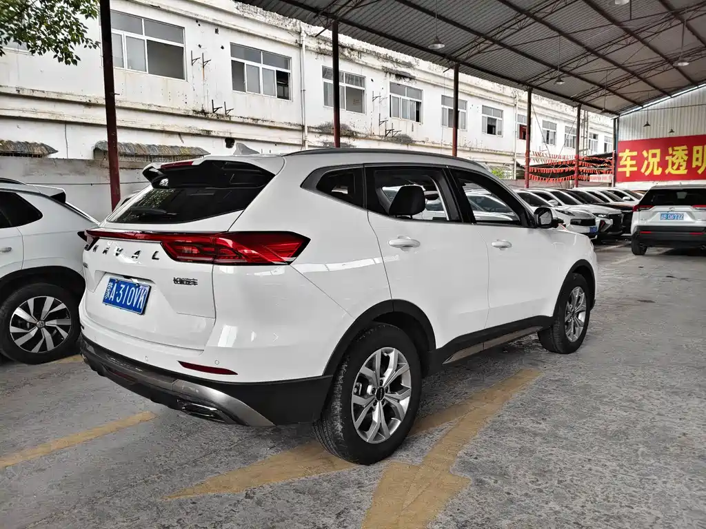 Haval H6 2021 — фото 10