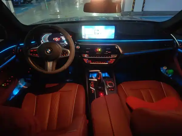 BMW 5 Series New Energy 2021
