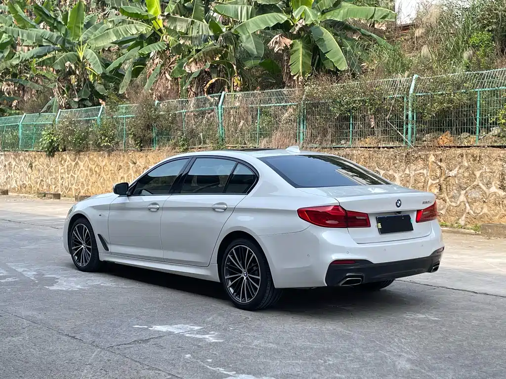 BMW 5 Series 2018 — фото 9