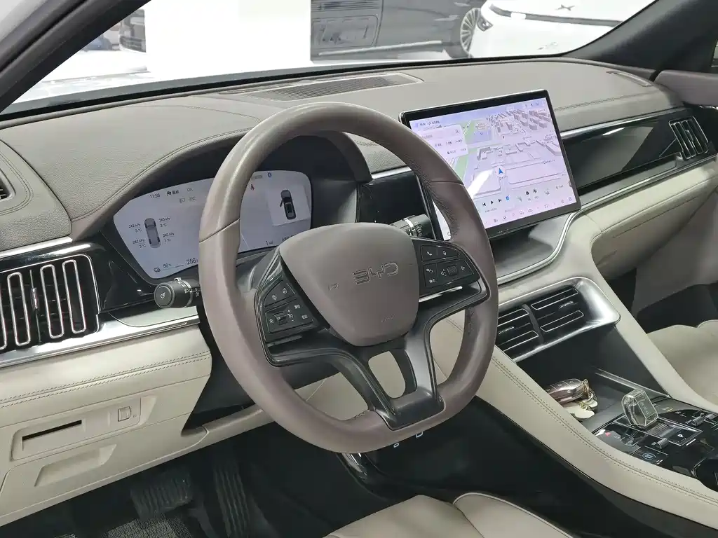 BYD PLUS New Energy 2024 — фото 4
