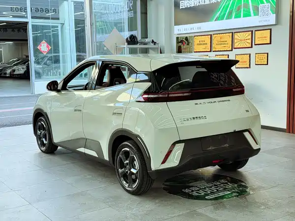 BYD Seagull 2024
