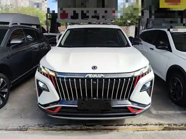 Dongfeng Haoji 2024