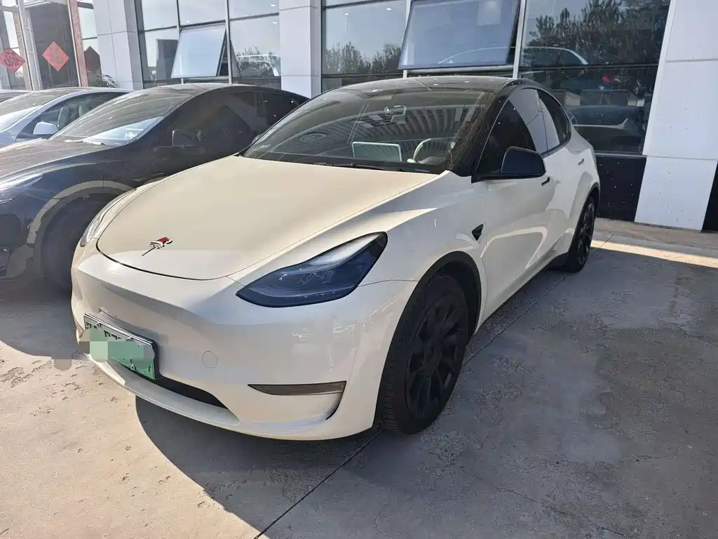 Tesla Model Y 2021 — фото 1