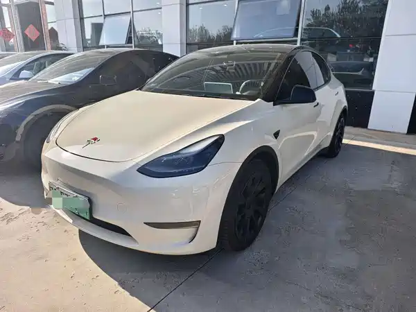 Tesla Model Y 2021