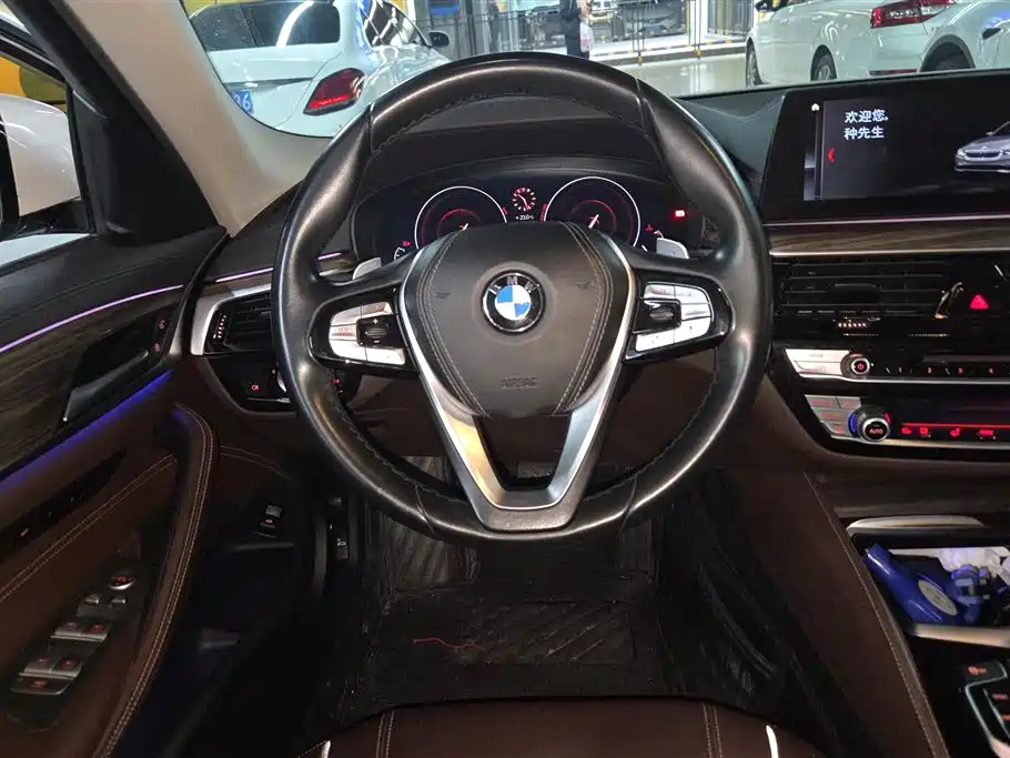 BMW 5 Series 2019 — фото 15
