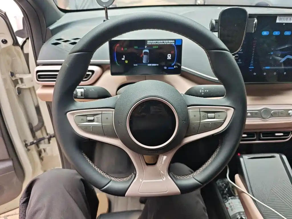 BYD Seagull 2025