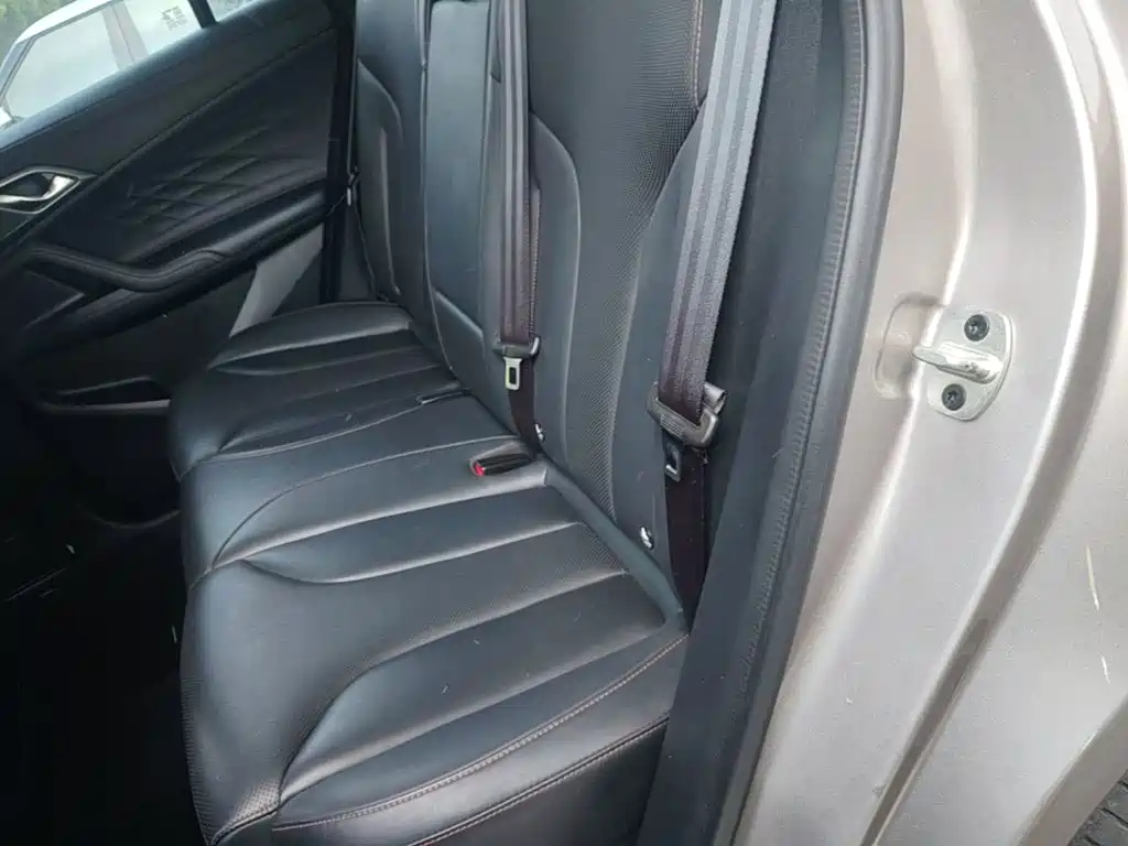 Roewe RX5 New Energy 2024 — фото 13