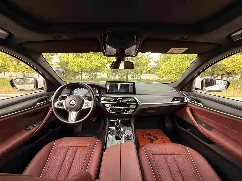 BMW 5 Series New Energy 2021