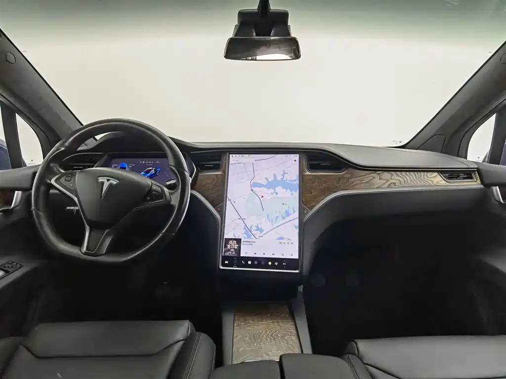 Tesla Model X 2020 — фото 5