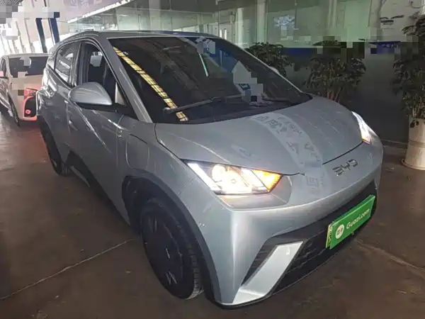 BYD Seagull 2024