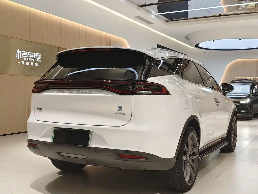 BYD Tang New Energy 2019 — фото 4