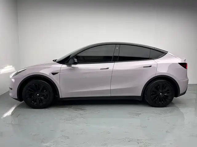 Tesla Model Y 2023 — фото 6