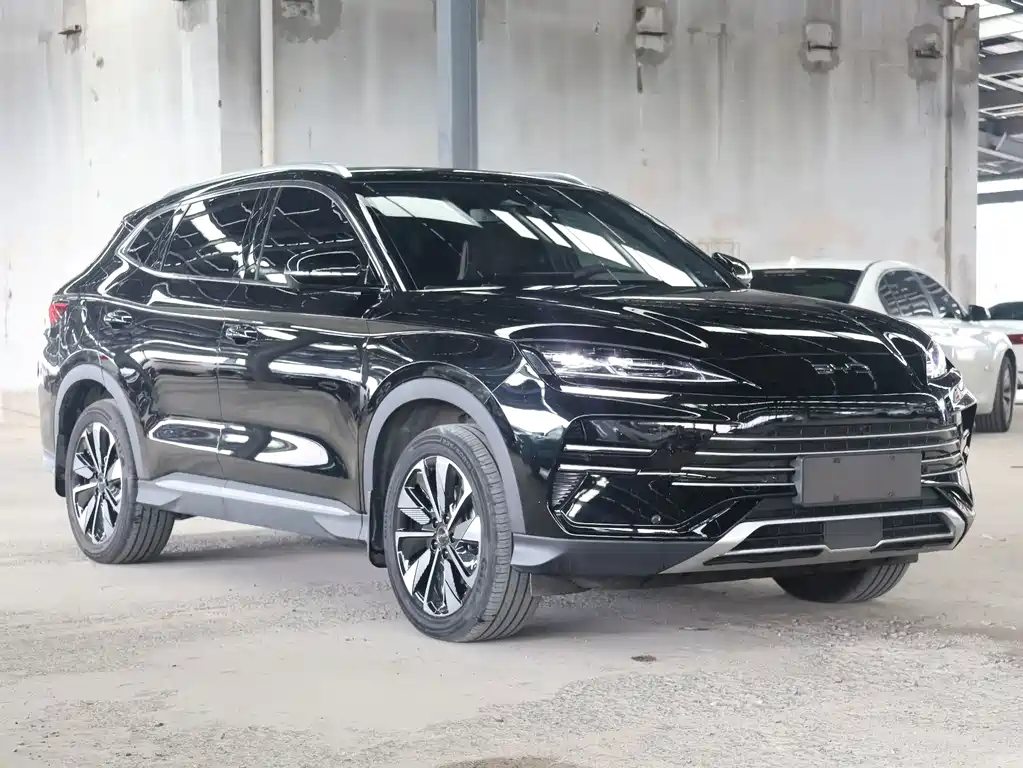 BYD Song PLUS New Energy 2025 — фото 3