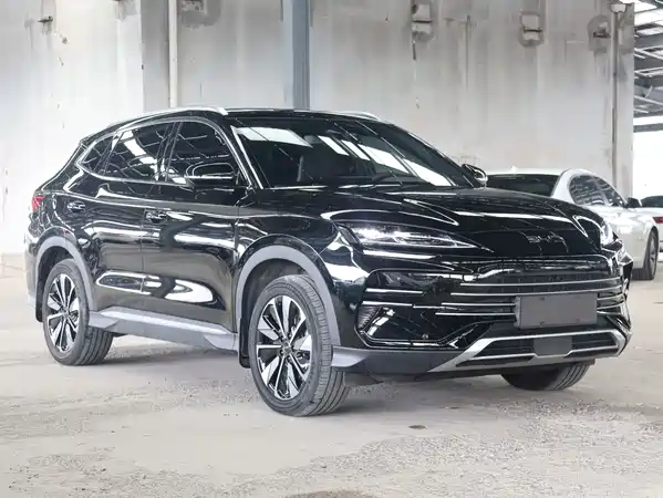 BYD Song PLUS New Energy 2025