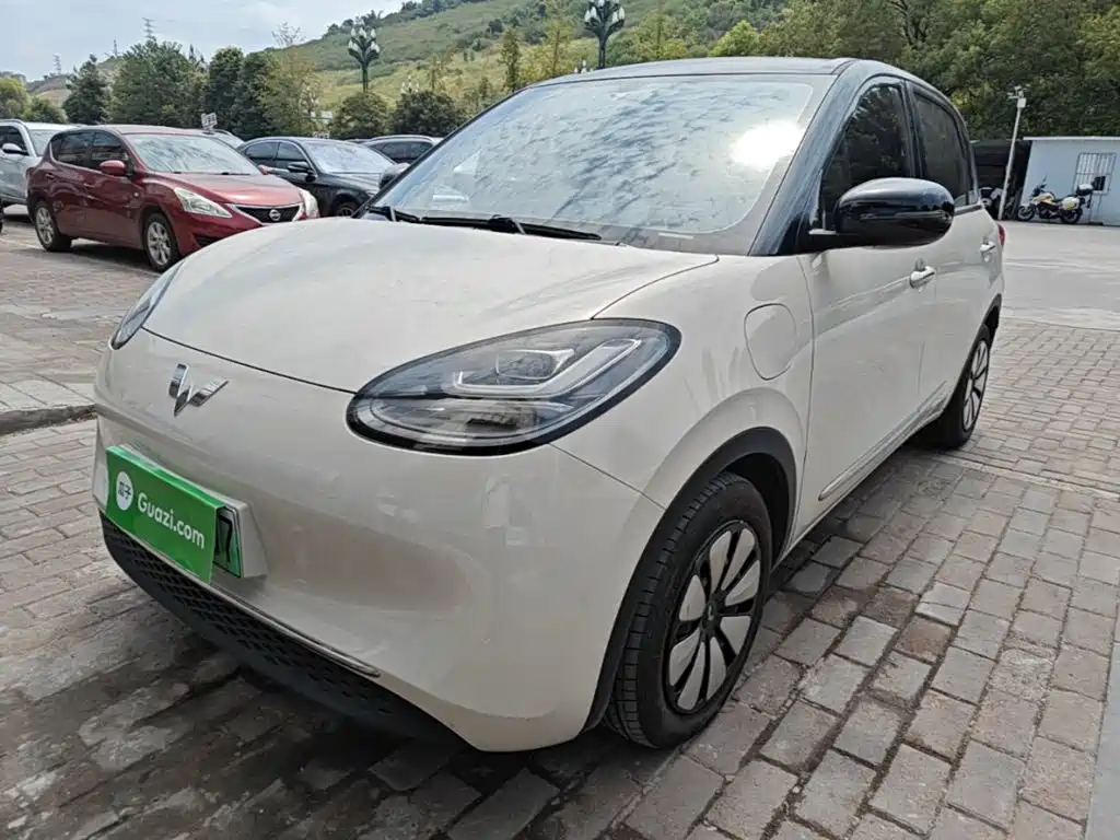 Wuling Bingo 2024