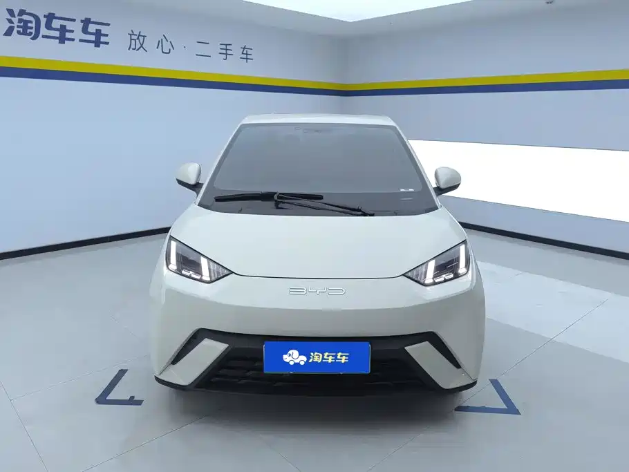 BYD Seagull 2024