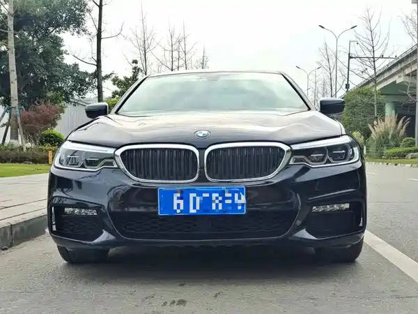 BMW 5 Series 2019