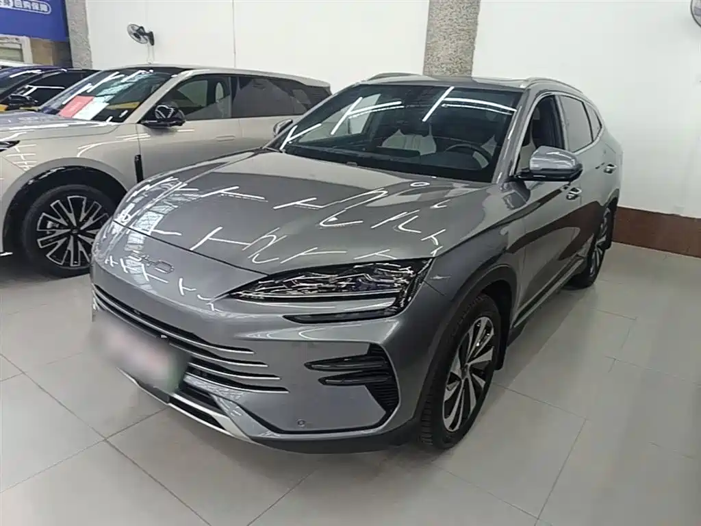 BYD PLUS New Energy 2024 — фото 1