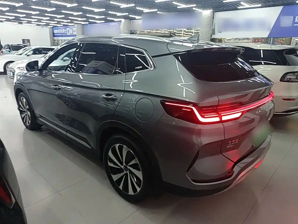 BYD PLUS New Energy 2024 — фото 5