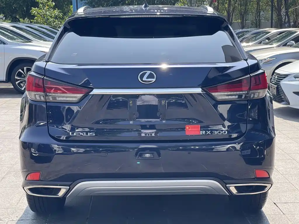 Lexus RX 2022 — фото 5