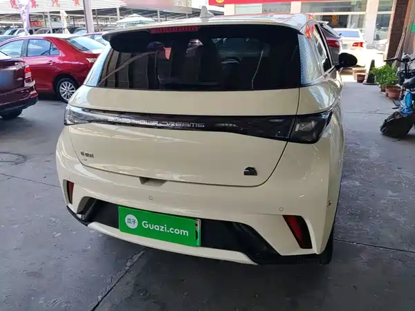 BYD Dolphin 2024
