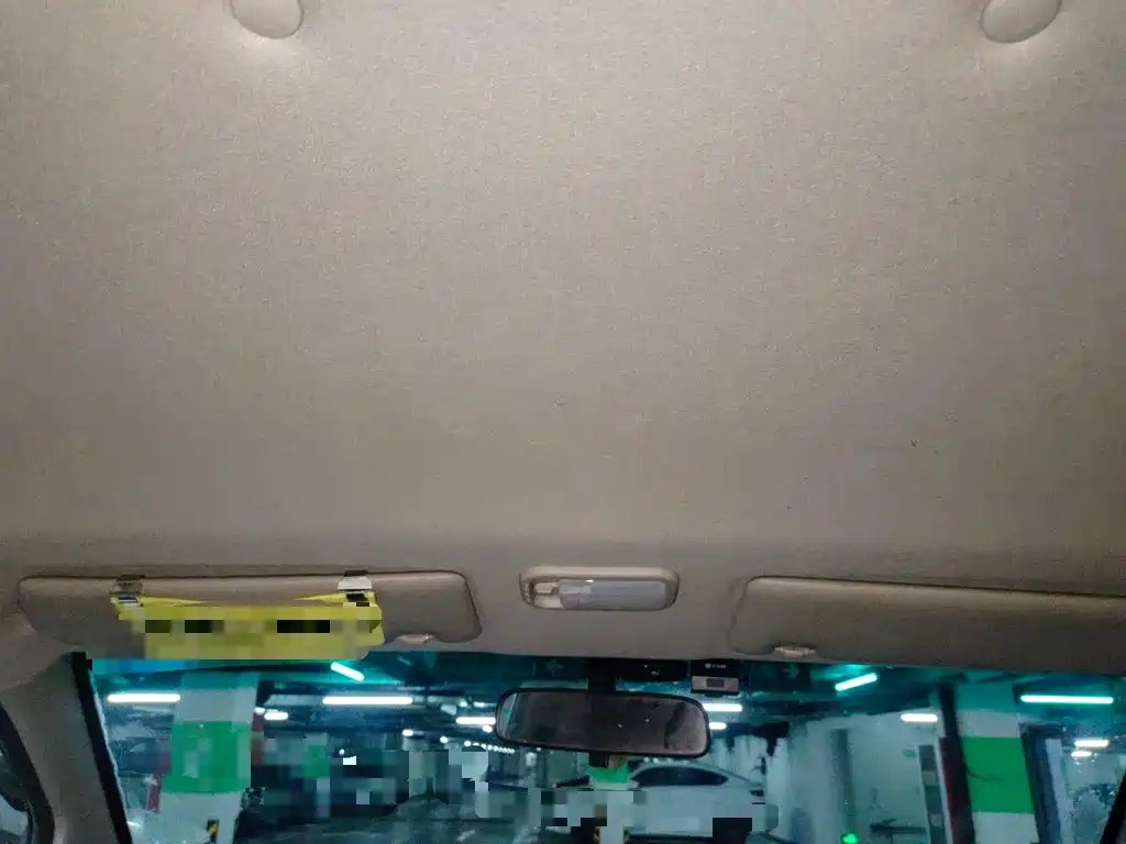 Fengxing Lingzhi 2022