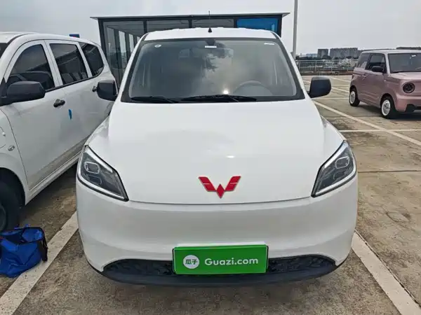 Wuling Hongguang New Energy 2024