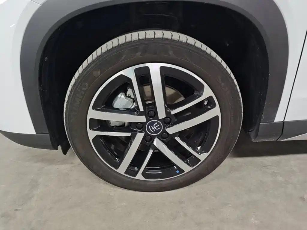 BYD Song L DM-i 2025 — фото 23