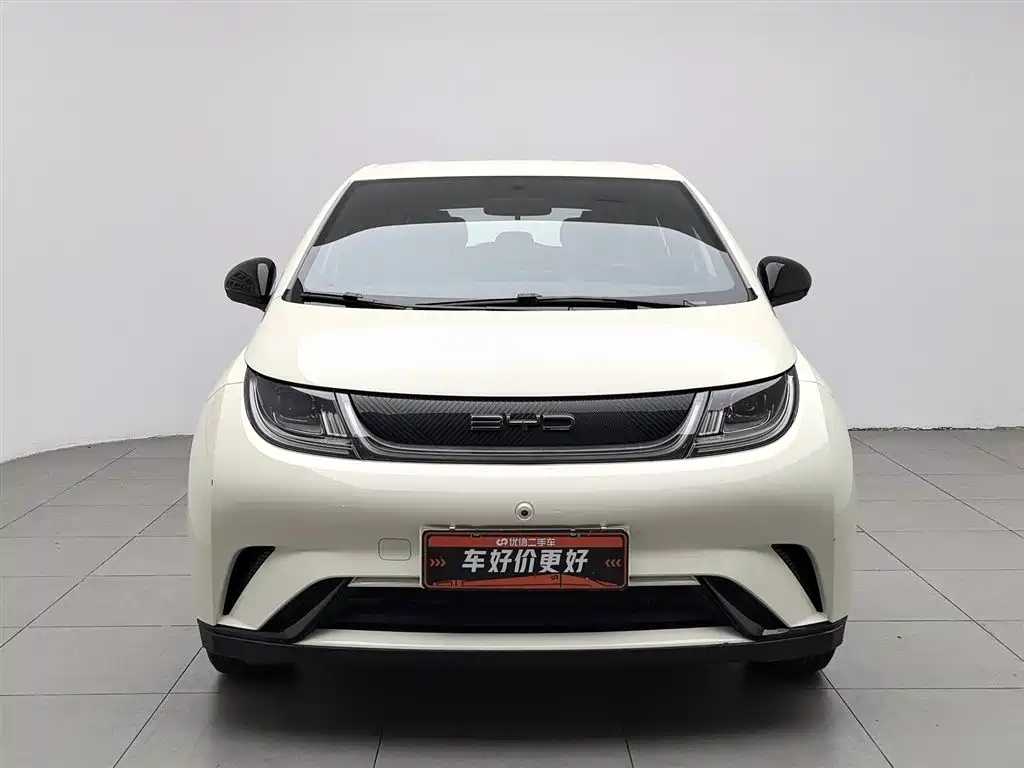 BYD Dolphin 2024