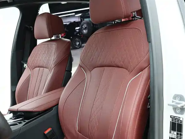 BMW 5 Series New Energy 2022