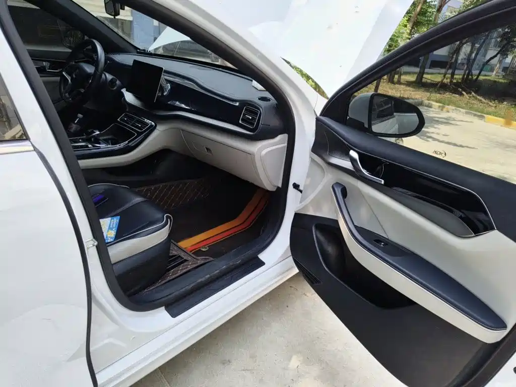 BYD Qin PLUS 2022 — фото 20