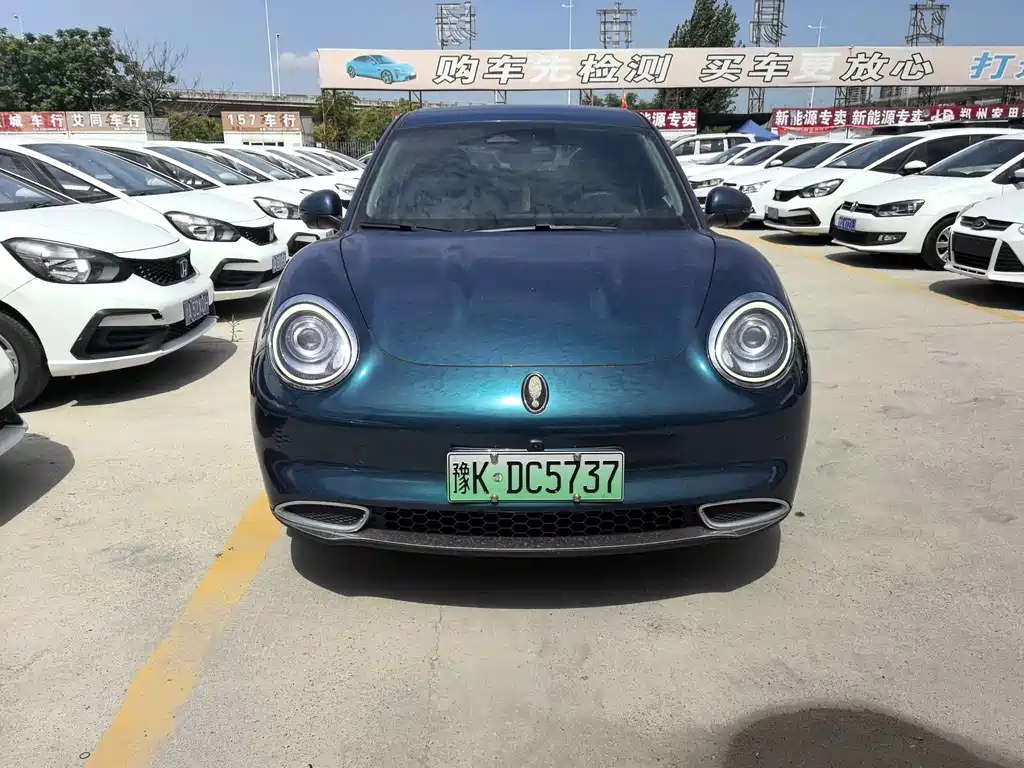 Ora Good Cat 2022