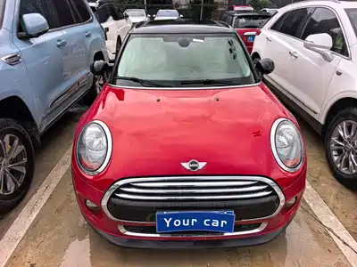 MINI MINI 2018
