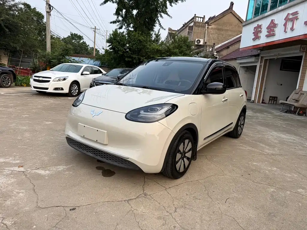 Wuling Bingo 2024