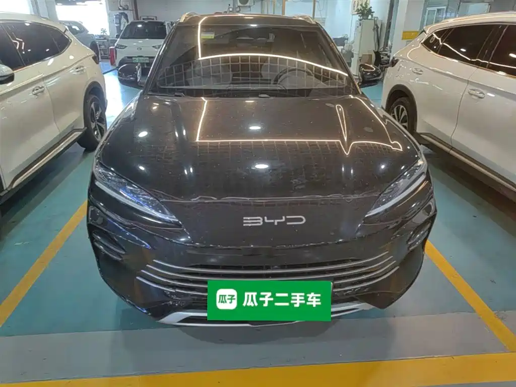 BYD PLUS New Energy 2024 — фото 3
