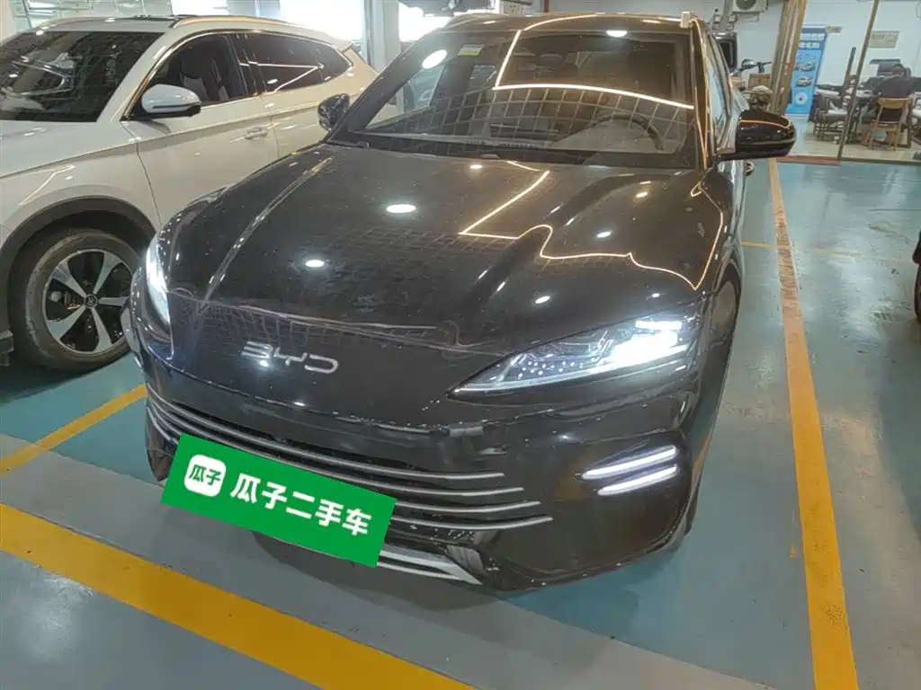 BYD PLUS New Energy 2024 — фото 1