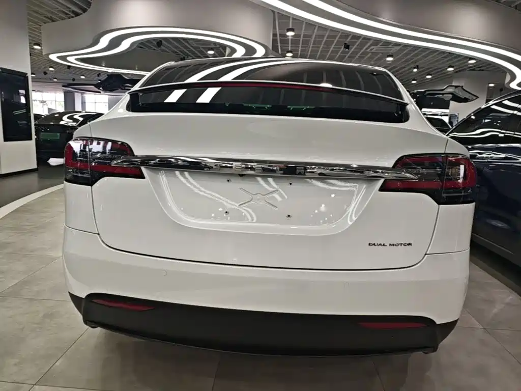 Tesla Model X 2019 — фото 6