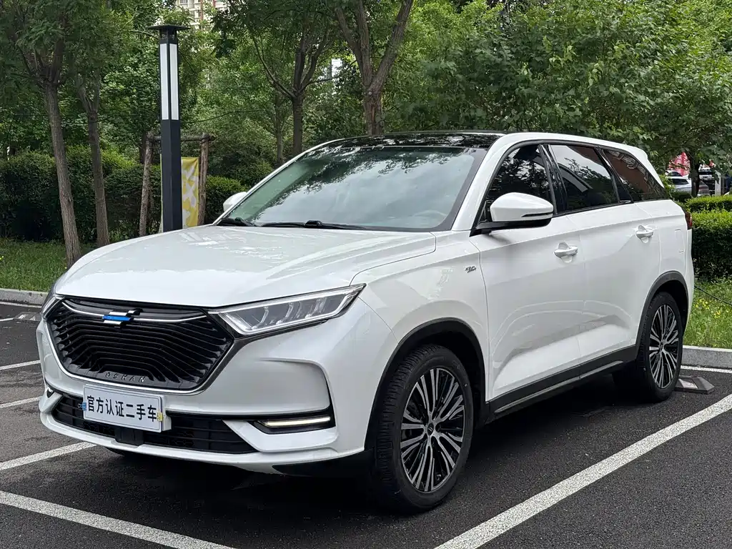 Oshan Oushang X7 2019