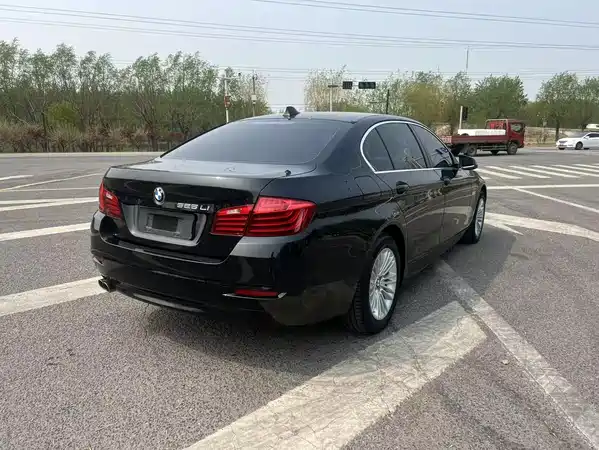 BMW 5 Series 2013