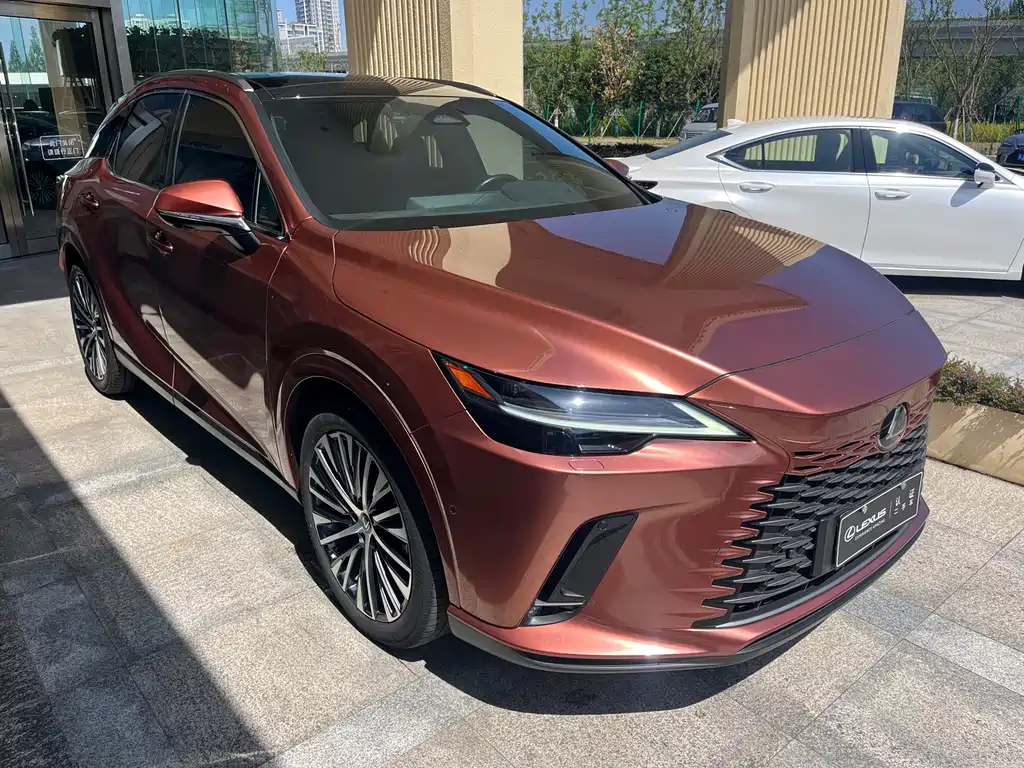 Lexus RX New Energy 2023 — фото 3