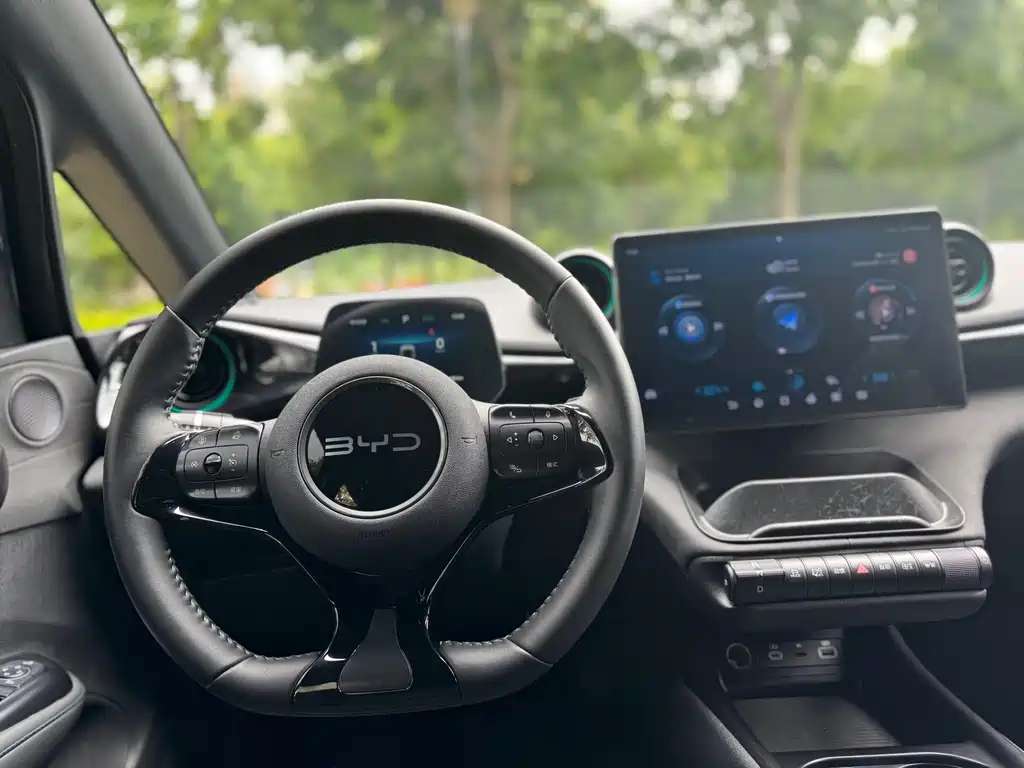 BYD Dolphin 2025 — фото 15
