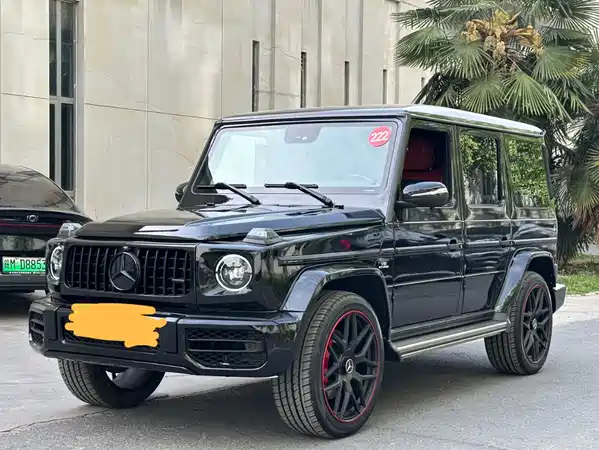 Mercedes-Benz G-Class 2010